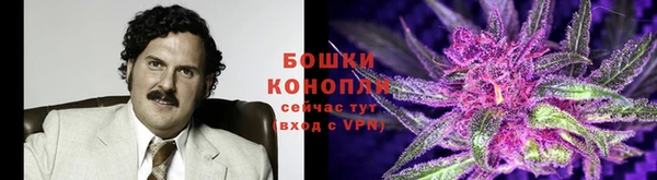 ECSTASY Надым