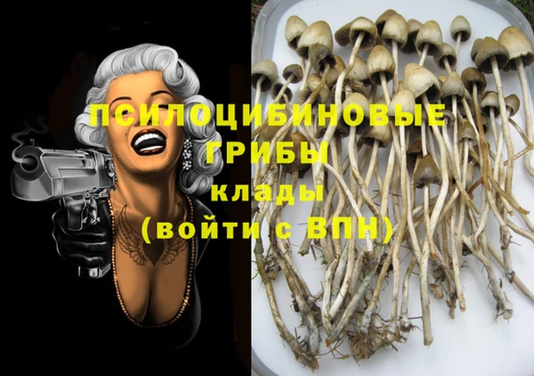 ECSTASY Надым