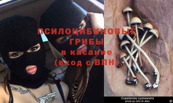 ECSTASY Надым