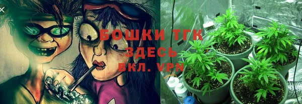 ECSTASY Надым