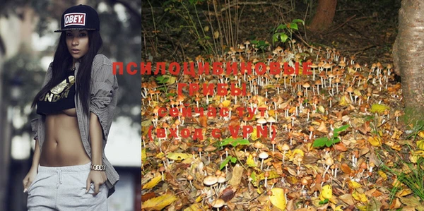 PSILOCYBIN Наволоки