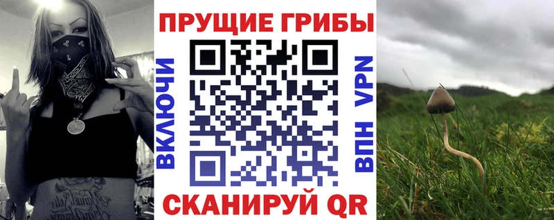 Псилоцибиновые грибы прущие грибы  Оренбург 